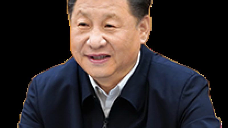 上海化工原料价格波动背后的市场逻辑